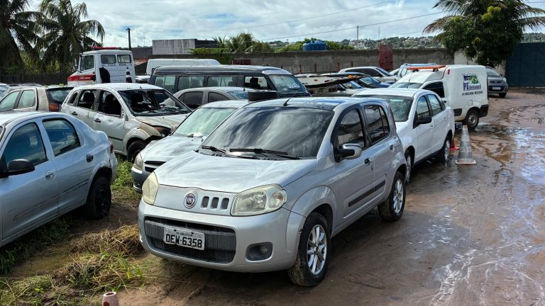 Leilão da Semob-JP oferece 368 veículos com lances a partir de R$ 100